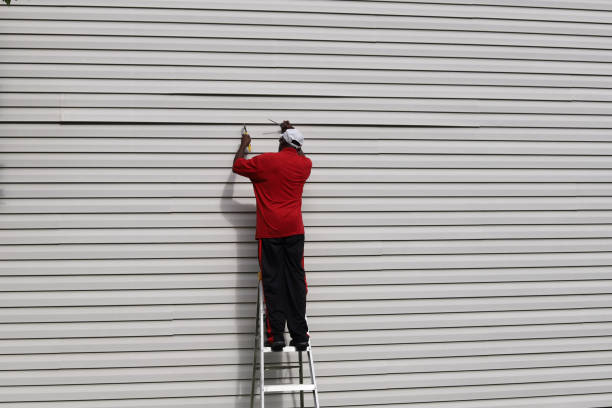 Best Steel Siding Installation  in Tioga, ND